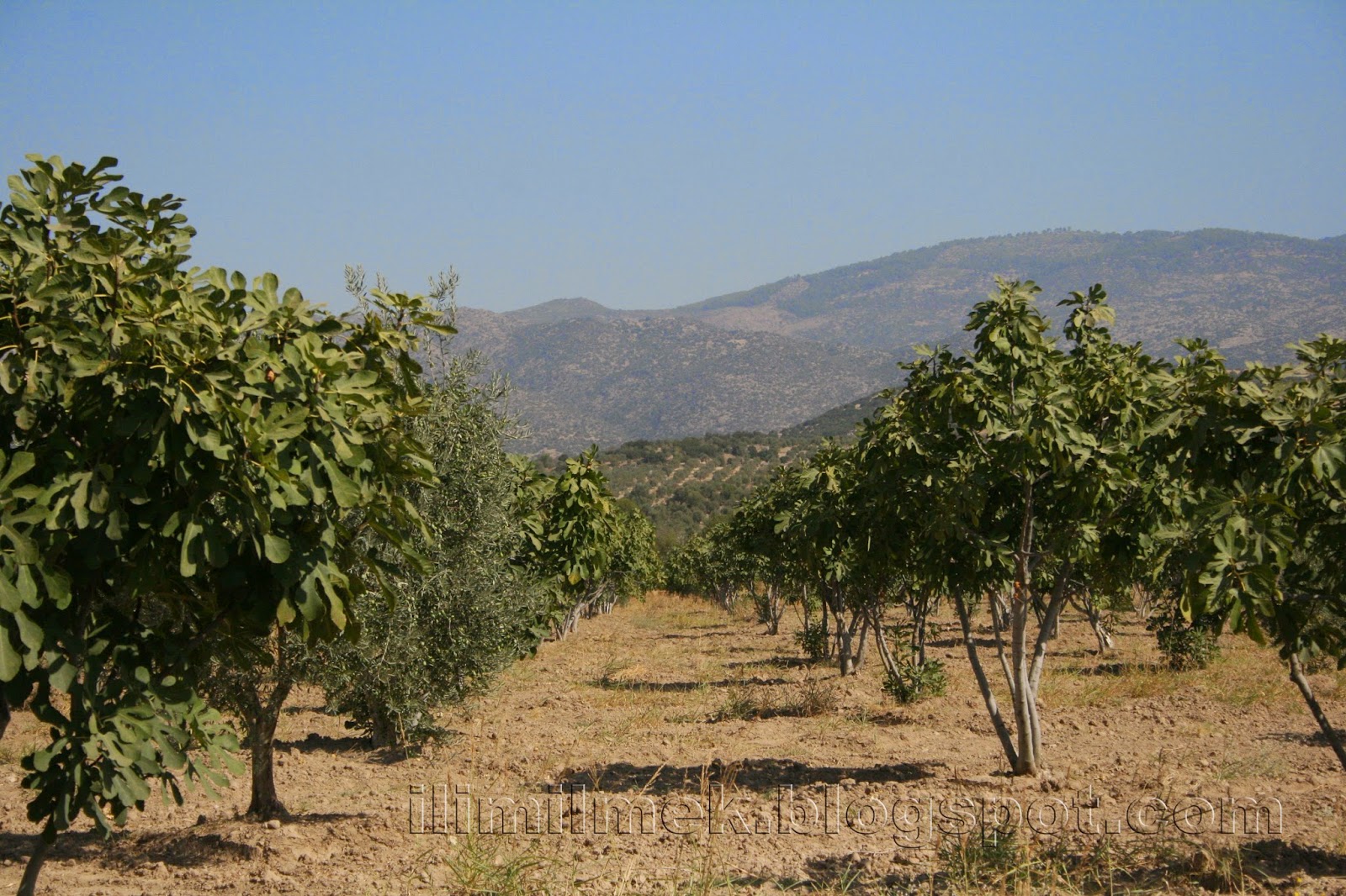 Eylül-Ekim-2012-Köy-009